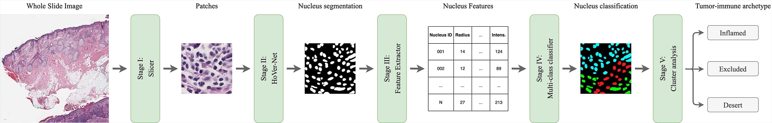 Histopathology Classification Workflow