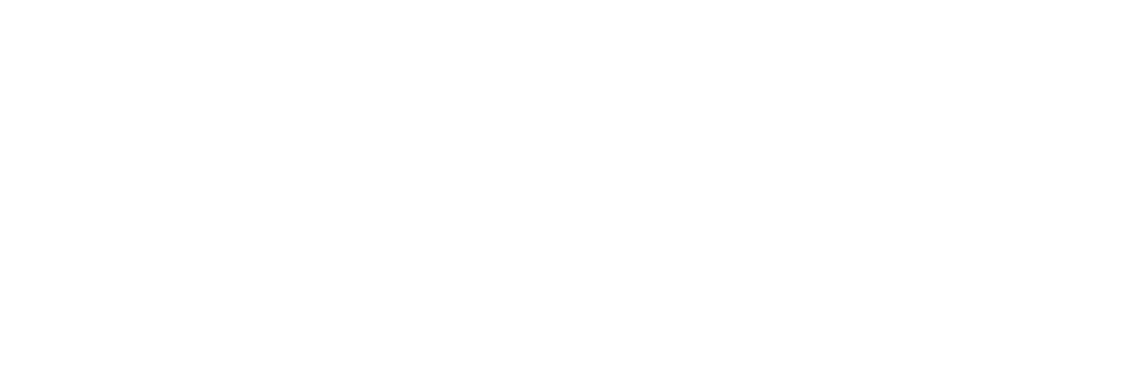 Viacheslav Danilov Signature