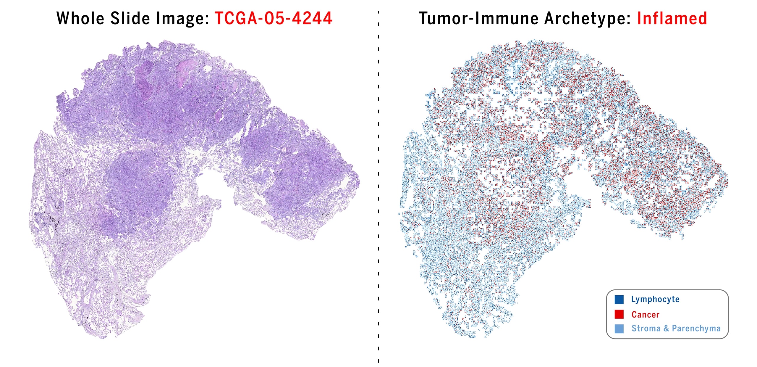 Workflow Output Visualization