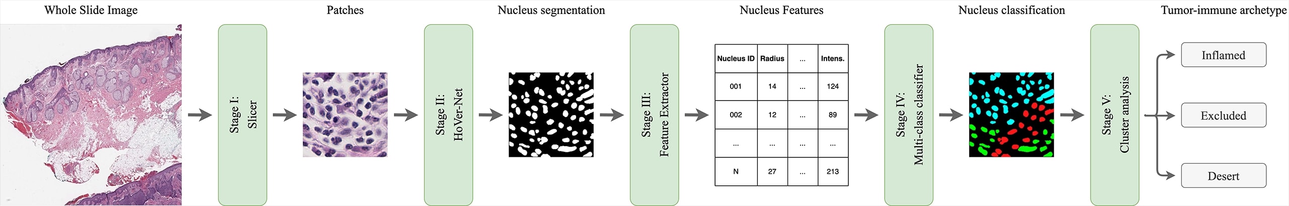 Histopathology Classification Workflow