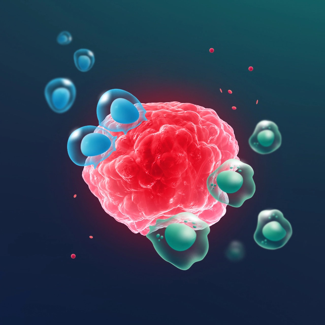 Immune Inflamed Phenotype